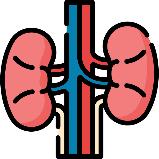 Cardiology